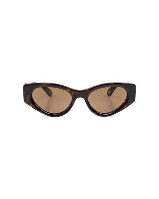 Chloé Brown Sunglasses