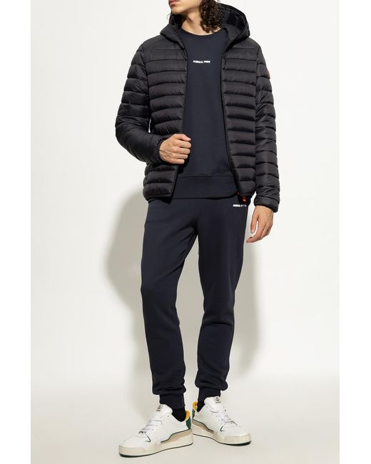 Save The Duck Synthetic 'donald' Insulated Hooded Jacket in Black for Men |  Lyst