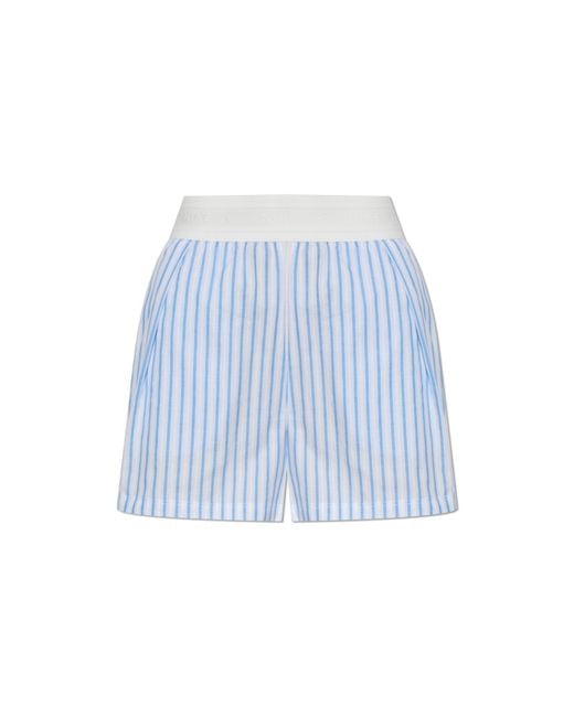 Nike Blue Shorts With Logo