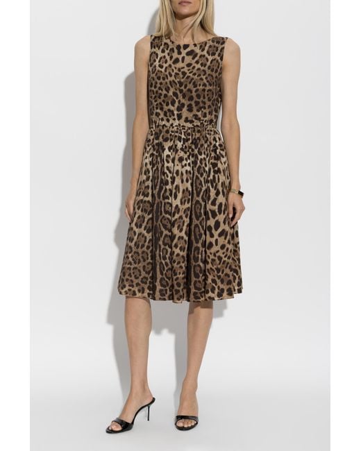 Dolce & Gabbana Natural Cotton Dress With Animal Print