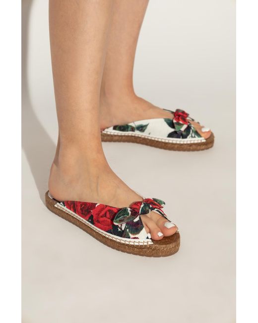 Dolce & Gabbana Multicolor Floral Motif Slides