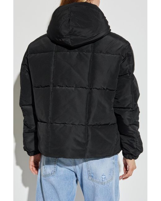 EA7 Blue Insulated Quilted Jacket