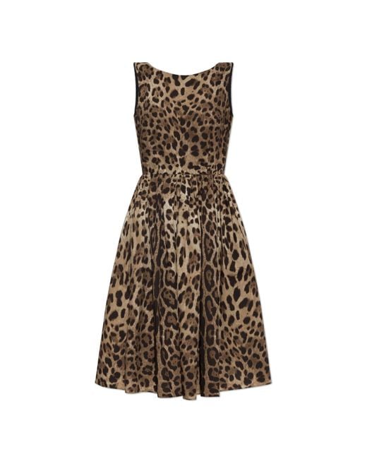 Dolce & Gabbana Natural Cotton Dress With Animal Print
