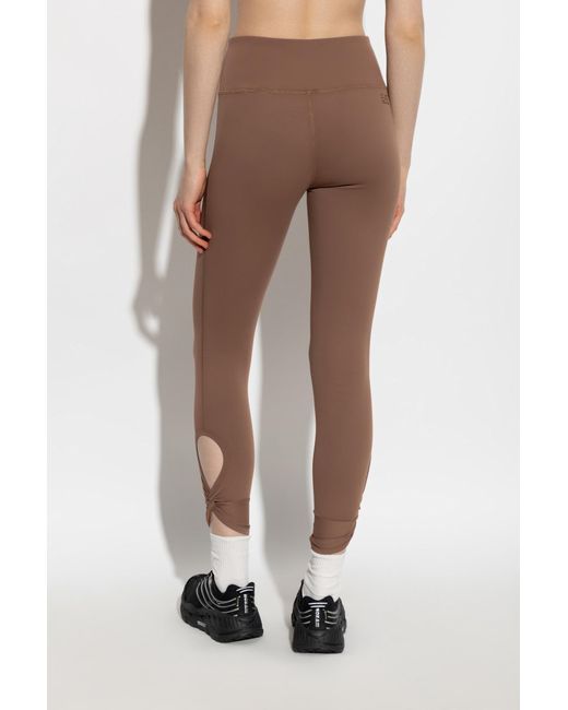EA7 Brown Training Leggings