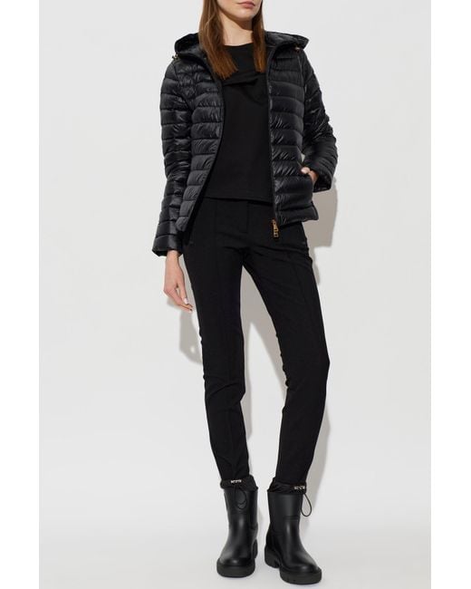 Moncler Black Quilted Jacket 'Igelhood'