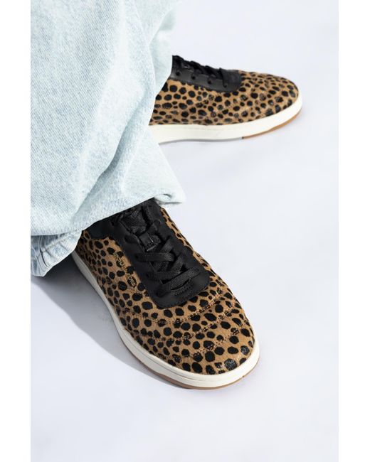 Michael Kors Brown Sneakers