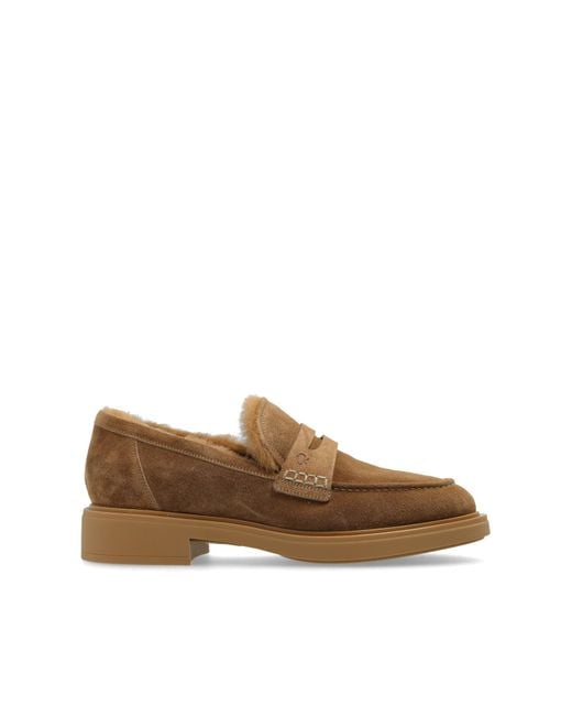 Gianvito Rossi Brown Shoes Harris Type Loafers