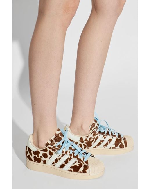 Adidas Originals Brown Sports Shoes 'Superstar Ii W'