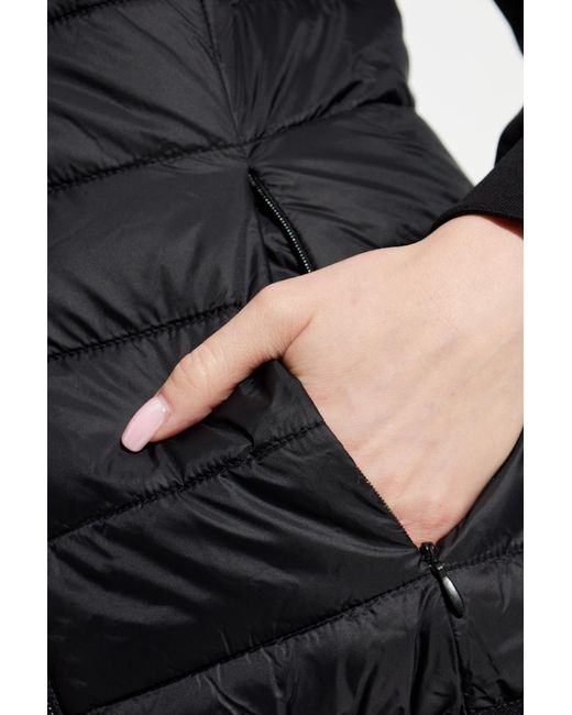 EA7 Blue Insulated Vest