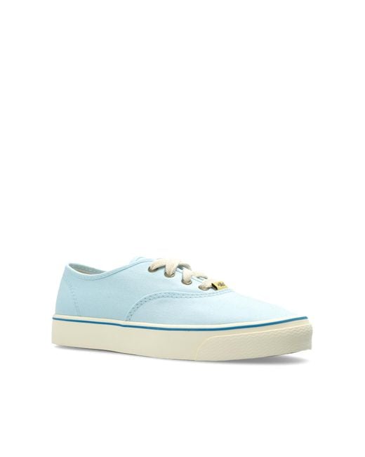 Converse Blue X Tyler The Creator
