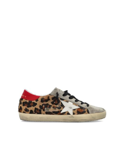 Golden Goose Deluxe Brand Brown 'Super-Star Classic' Sports Shoes