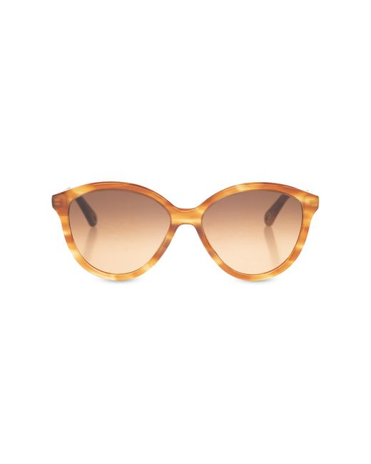 Chloé Brown Sunglasses