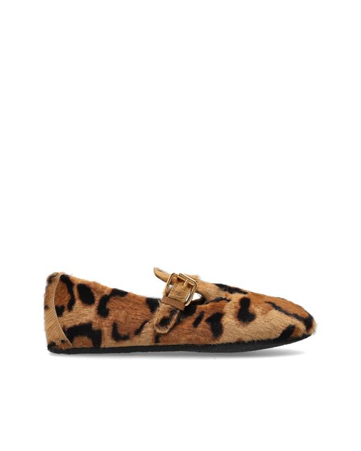 Agl Attilio Giusti Leombruni Brown "Hoola" Animal Print Shoes