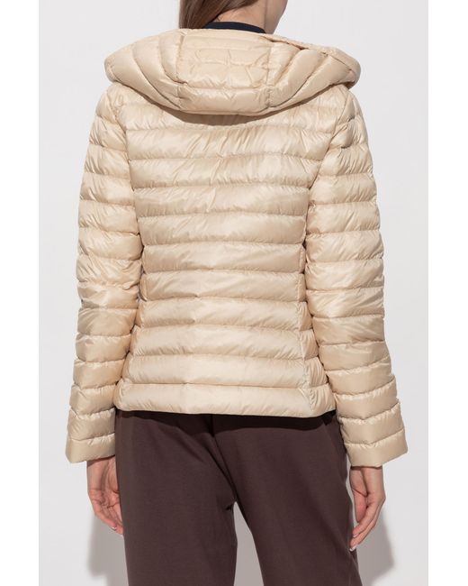 Moncler Natural Down Jacket "Igelhood"