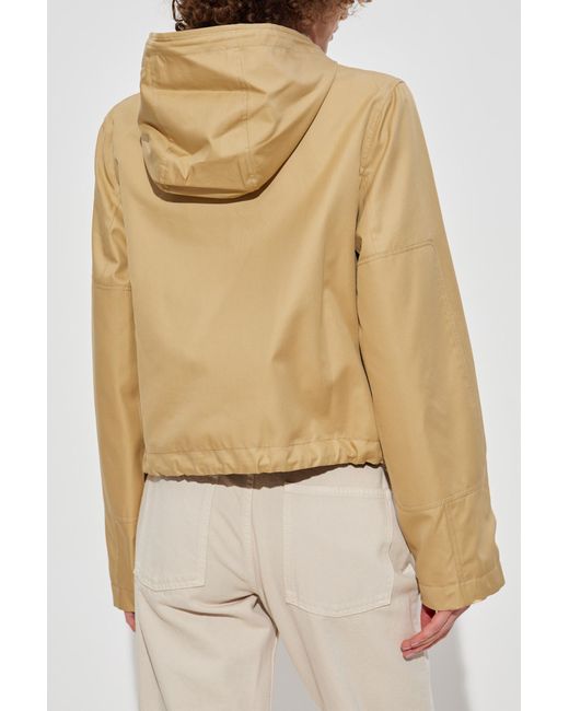 Burberry Natural Short Jacket With Hood