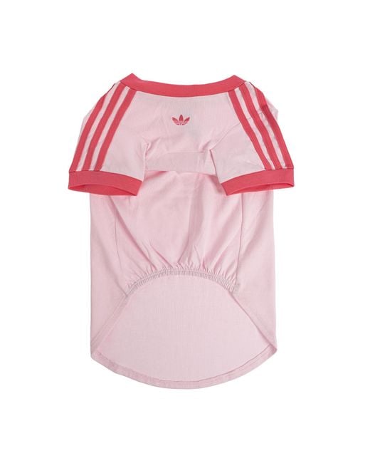 Adidas Originals Pink Dog Clothing With Logo