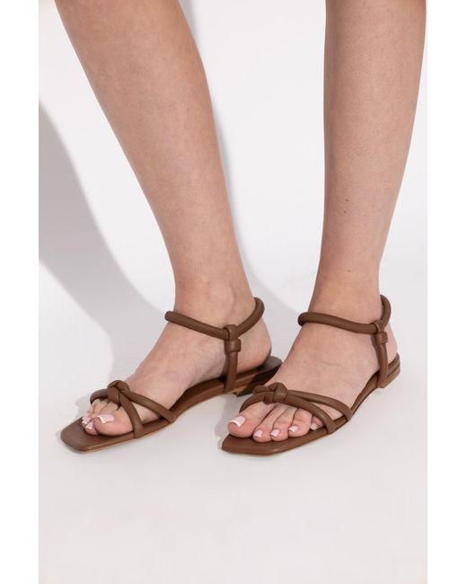 Gianvito Rossi Brown Juno Sandals
