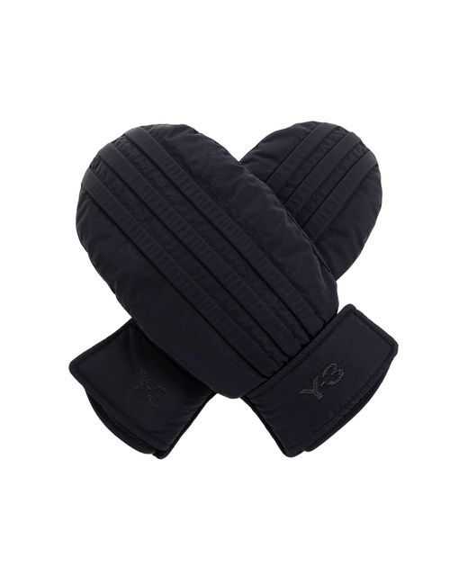 Y-3 Blue Insulated Gloves
