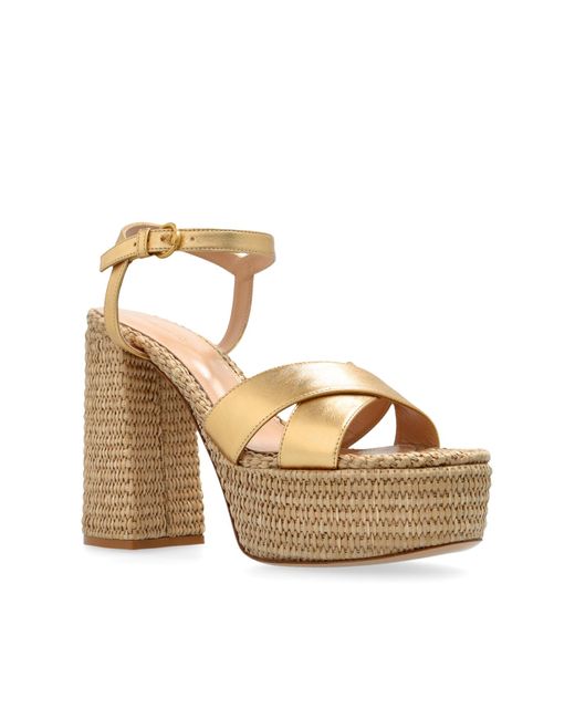 Gianvito Rossi Natural Bebe Platform Sandals