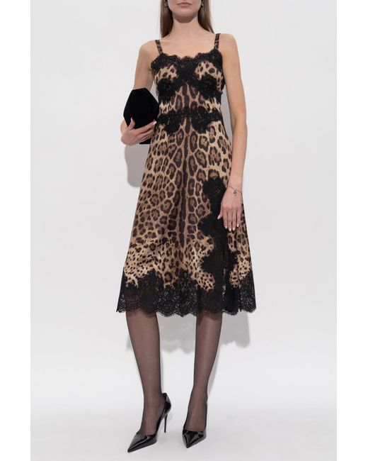 Dolce & Gabbana Brown Dress With Animal Print