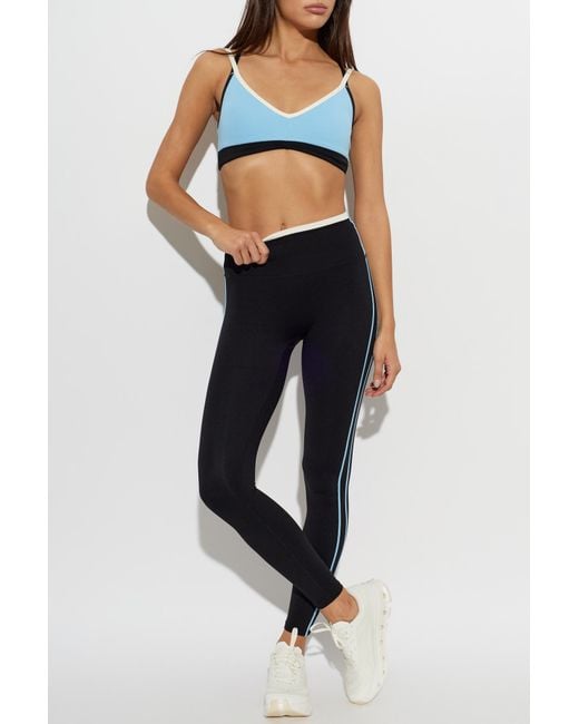 P.E Nation Blue 'Paramount' Sports Bra