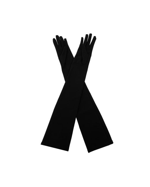 Dolce & Gabbana X Kim in Black Lyst