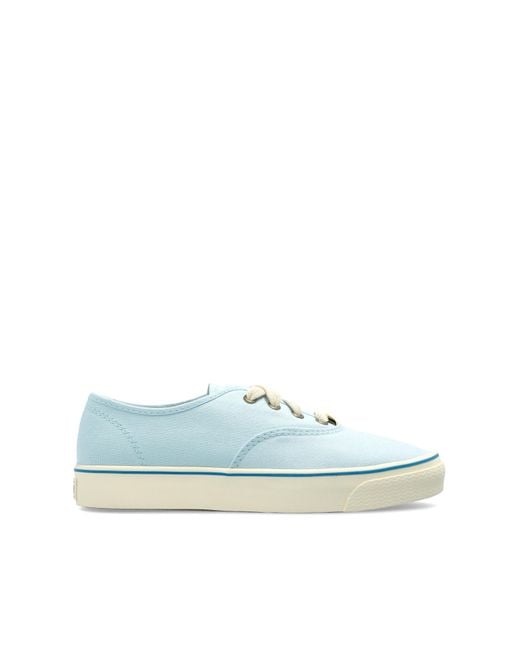 Converse Blue X Tyler The Creator
