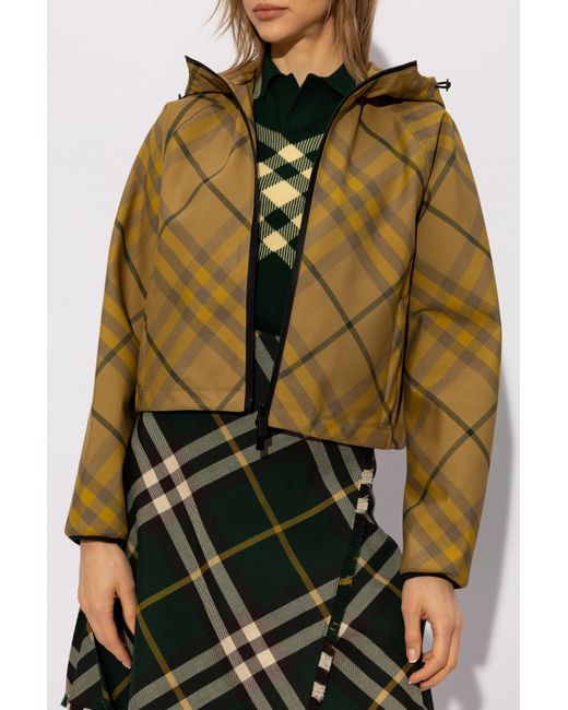 Burberry Green Checked Jacket, '