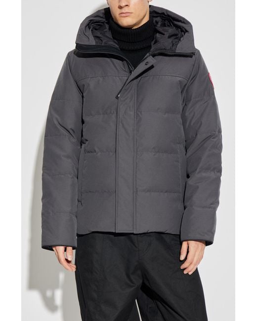 Canada Goose Gray Macmillan Down Jacket for men