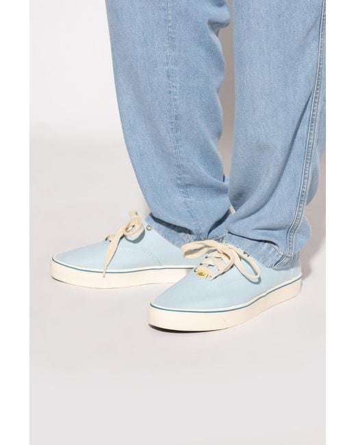Converse Blue X Tyler The Creator
