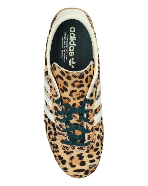 Adidas Originals Brown 'Gazelle Lo Pro W' Sports Shoes