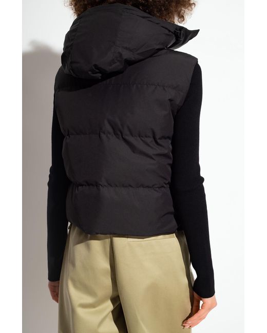 coles puffer jacket
