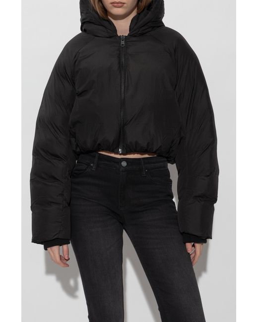 AllSaints Black Short Padded Jacket 'Mae'
