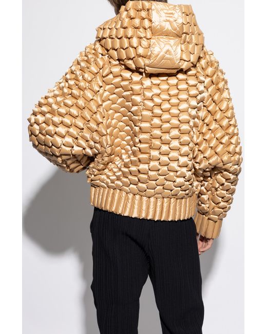 RAXXY Natural Jacket Kirin