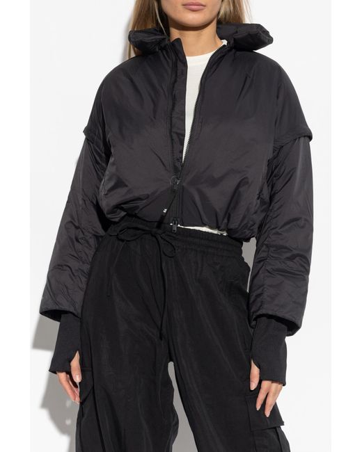 Y-3 Black Insulated Jacket