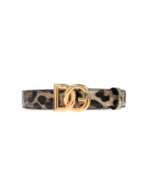 Dolce & Gabbana Brown Leather Belt