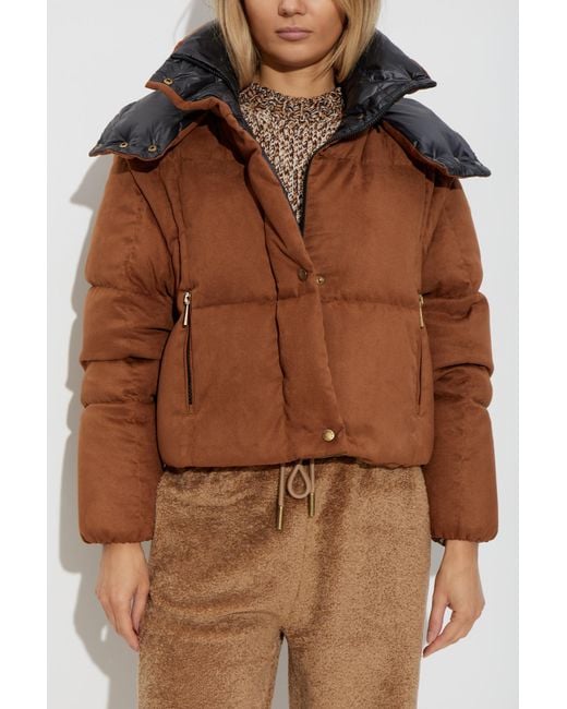 Moncler Brown Down Jacket 'Paterne'