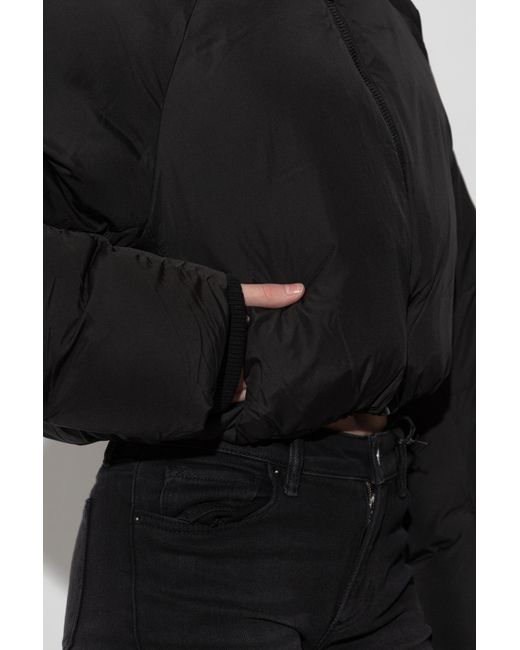 AllSaints Black Short Padded Jacket 'Mae'