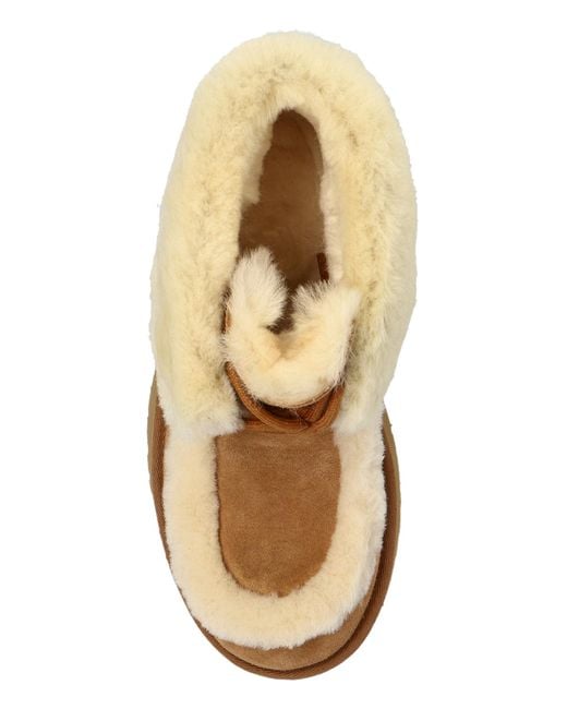 Ugg Blue "w Esmee Lace Up" Shoes,