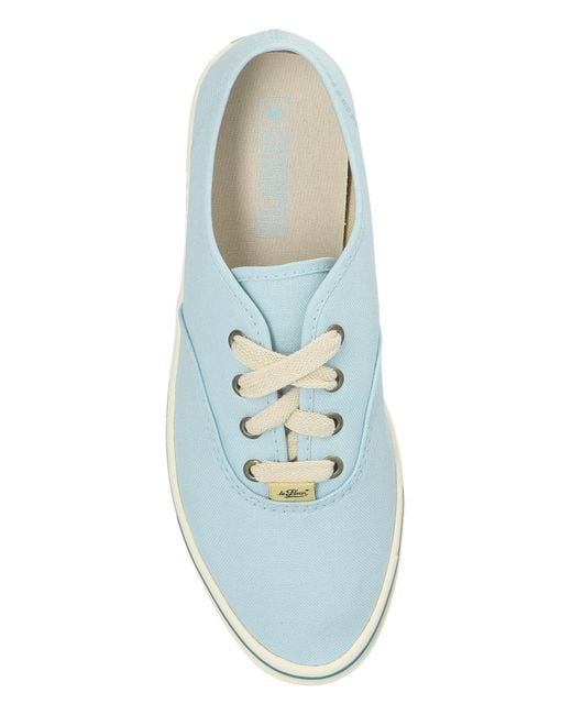 Converse Blue X Tyler The Creator