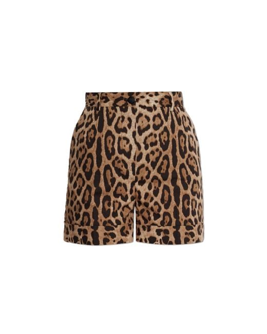 Dolce & Gabbana Brown Animal Print Trousers