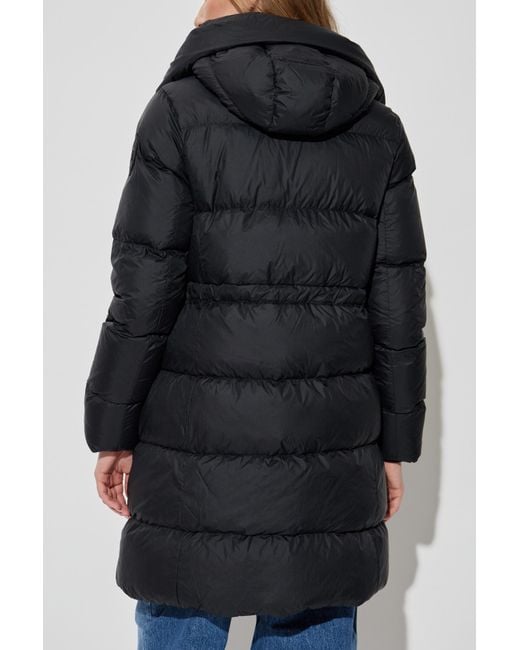 Canada Goose Black Down Jacket With Hood