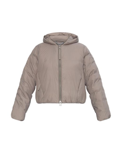 Canada Goose Brown "Elba" Down Jacket