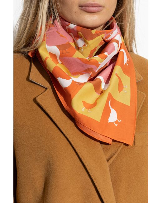 Moschino Orange Cotton Scarf With Print
