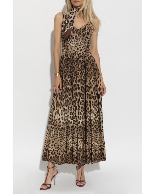 Dolce & Gabbana Natural Cotton Dress With Animal Print