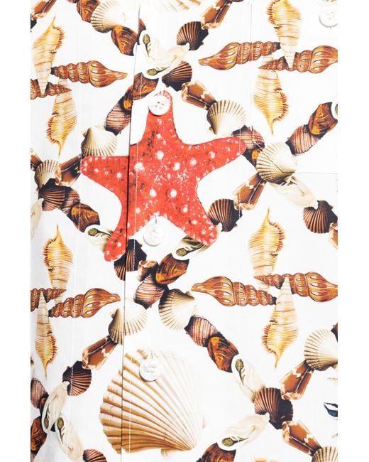 Dolce & Gabbana Multicolor Shirt With A Seashell Motif for men