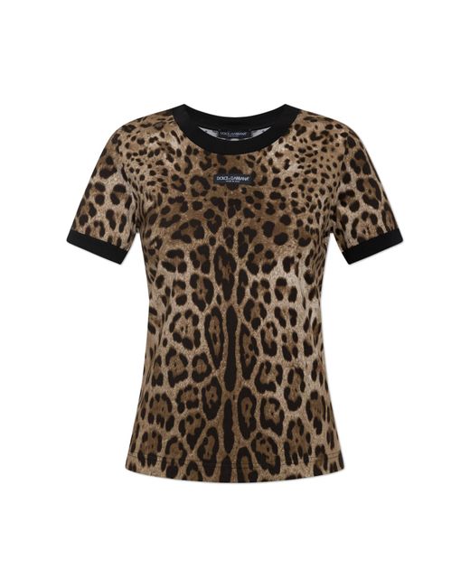Dolce & Gabbana Brown Animal Motif T-Shirt