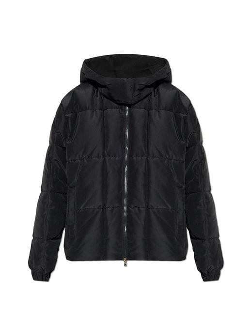 EA7 Blue Insulated Quilted Jacket