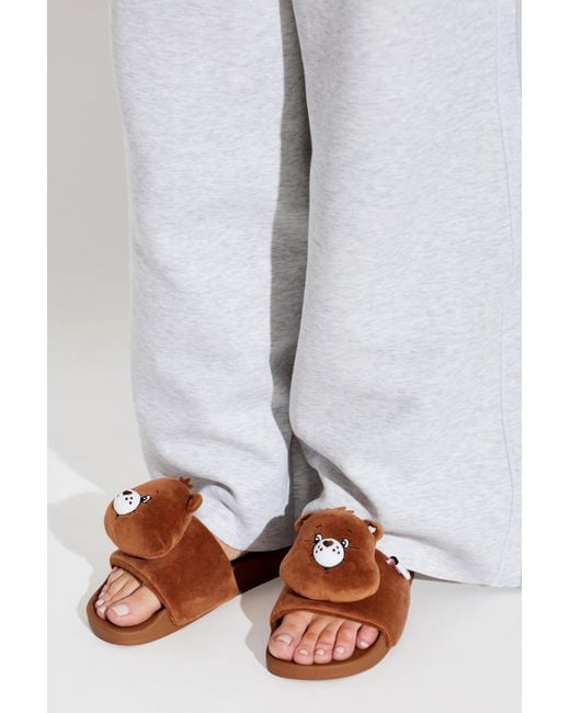 Adidas Originals Brown Adidas X Care Bears