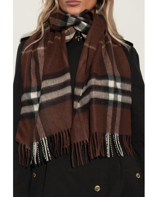 Burberry Brown Cashmere Scarf